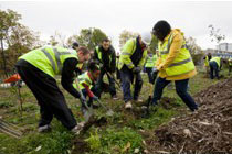 29_Decine di residenti del quartiere hanno piantato più di 200 alberi lungo la Greenway, per renderla uno spazio più verde sia per le persone sia per la fauna. Credit London 2012