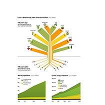 Exploring Urban Resilience