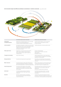 Exploring Urban Resilience