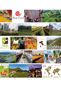 Exploring Urban Resilience