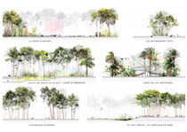 Plaça de les Glòries, da periferia industriale a centralità ecologica