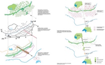 Figure 8: GRIMSHAW Architects. Green structure, mobility structure and culturally vibrant park