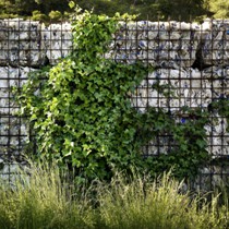 Recupero paesaggistico della discarica Vall d’en Joan, Batlle i Roig Arquitectes con Teresa Galì, Barcellona 2002-2010