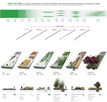 “Agri-tecture, diagramma delle tipologie botaniche insediate”, © James Corner Field Operations and Diller Scofidio + Renfro, Courtesy the City of New York. 