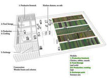 MicroFarm "Green Space": collecting, storing, conserving, preparing, sharing of food