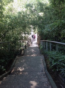 Le Jardins de bambous (Alexandre Chemetoff, Daniel Buren, Bernard Leitner)