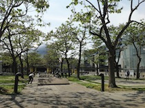 Jardin des îles (Bernard Tschumi)